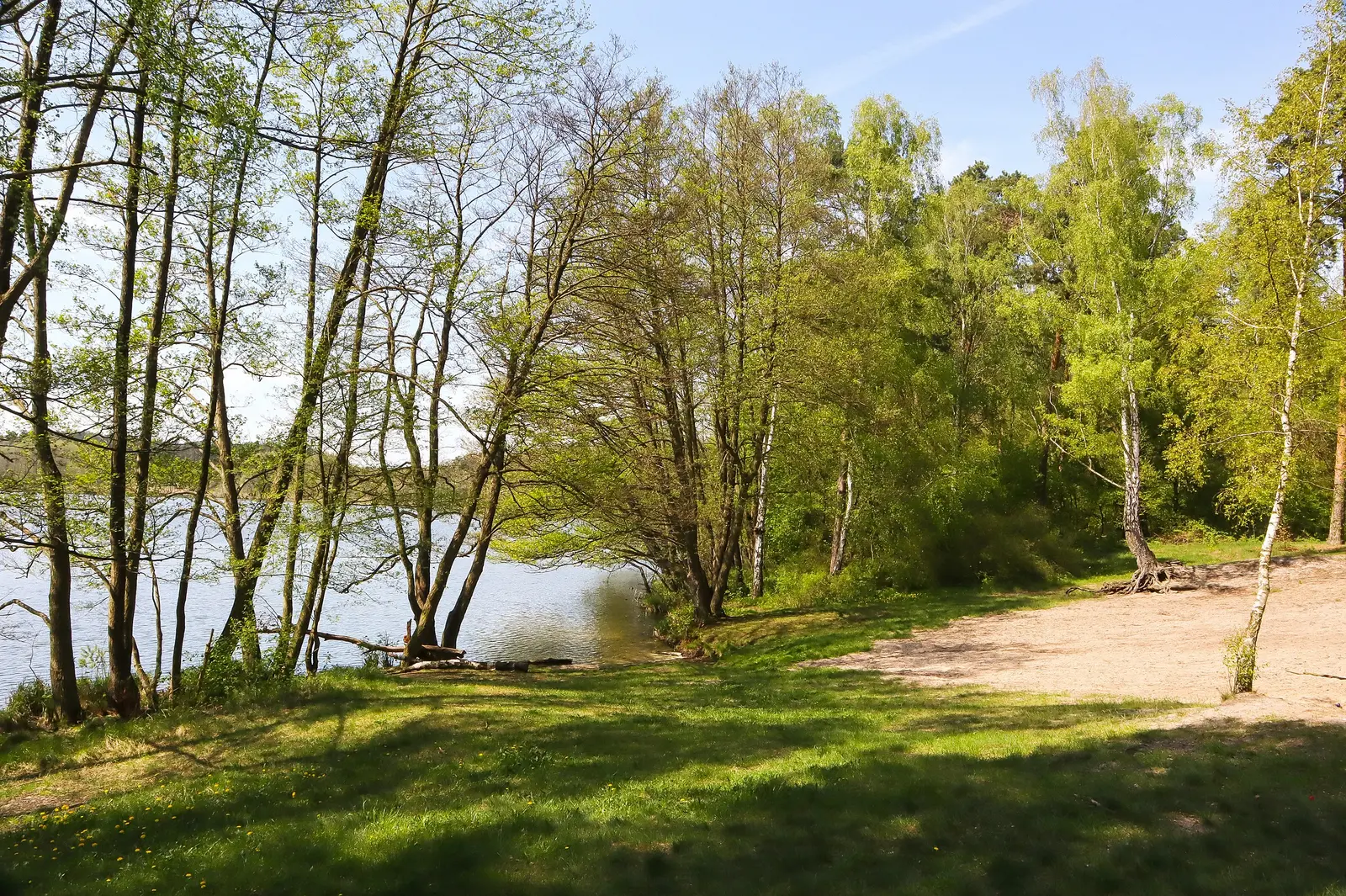 Badestelle am Schwärzesee Schwärzesee in der Umgebung von Eberswalde