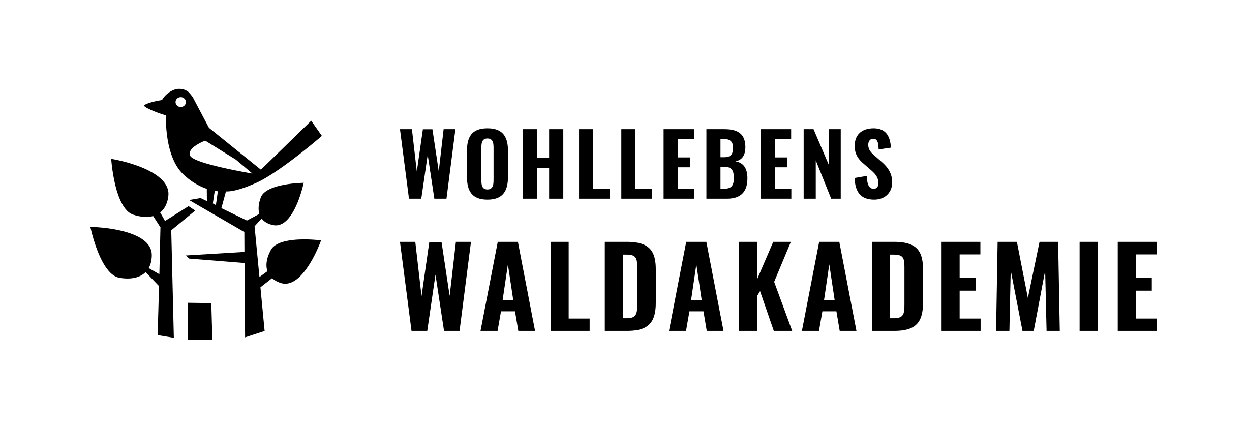 Wohllebens Waldakademie