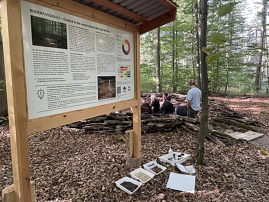 Die Infotafel ergänzt den direkten Blick in den Waldboden um Hintergrundwissen und weiterführende Informationen.