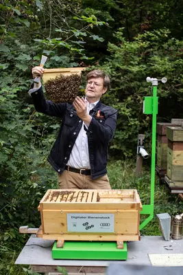 Digital beehive Ein Mann hält ein Bienenwabenrähmchen in den Händen und betrachtet es. Vor ihm auf dem Tisch steht ein Bienenstock aus Holz auf dem Digitaler Bienenstock zu lesen ist. Seitlich am Bienenstock ist eine kleine Wetterstation installiert.