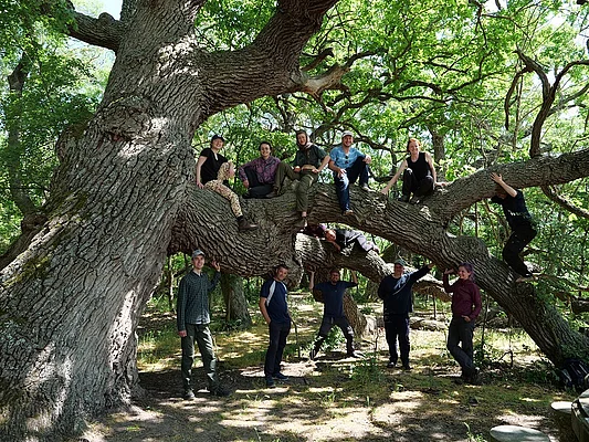In the protected Caraorman Forest