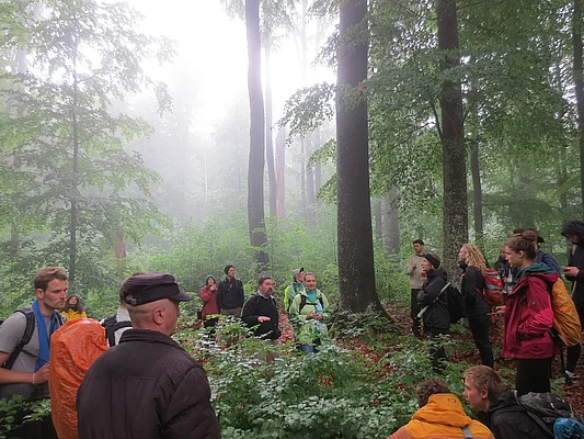 Uholka-Schyrokyi Luh primeval beech forest, Ukraine