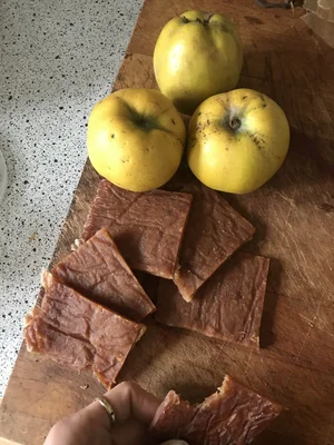 Ernährungs- & Agrarkultur nachhaltig gestalten Quittenbrot aus polykulturem Anbau