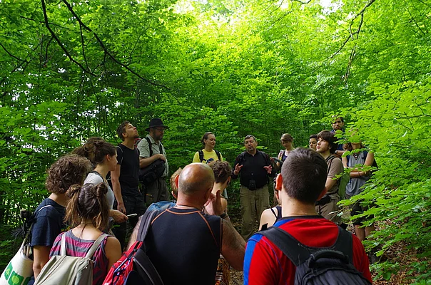 Beech forest expert Vasyl Pokynchereda from Carpathian Biosphere Reserve explaining forest dynamics in Uholka primeval Beech forest