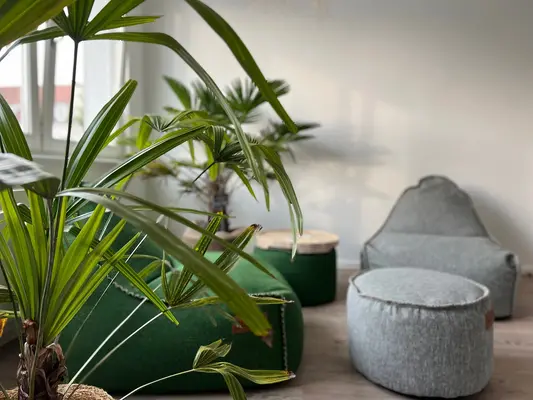 Start-Up Centre Im Vordergrund ist eine Pflanze abgebildet, im Hintergrund befinden sich zwei gemütliche Sessel aus grobem Material in den Farben grün und grau sowie zwei zylinder-förmige Hocker in den selben Farben.