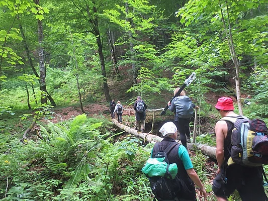 Shyrokyj Luh forest - river crossing