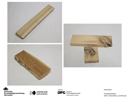 Holzproben Holzproben